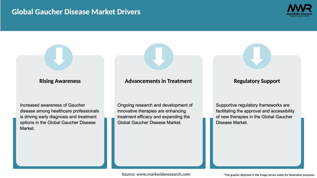 Global Gaucher Disease Market Drivers