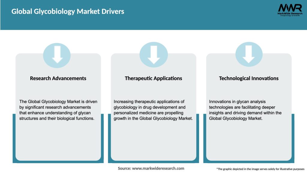Global Glycobiology Market Drivers