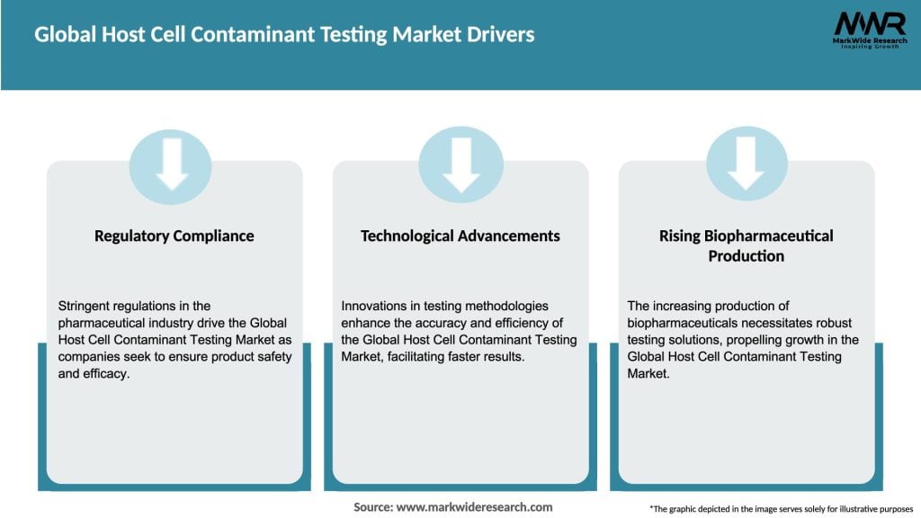 Global Host Cell Contaminant Testing Market Drivers