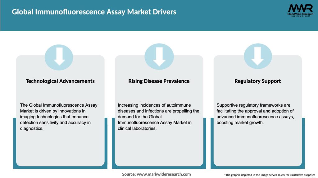 Global Immunofluorescence Assay Market Drivers