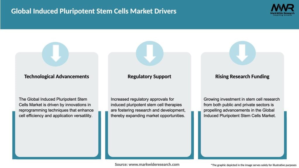 Global Induced Pluripotent Stem Cells Market Drivers