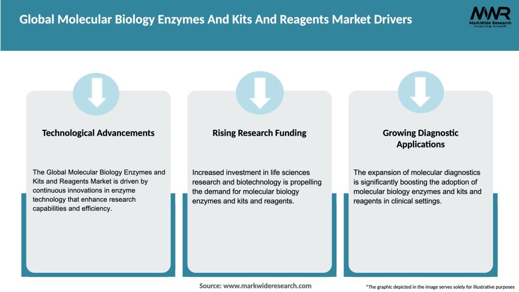 Global Molecular Biology Enzymes And Kits And Reagents Market Drivers