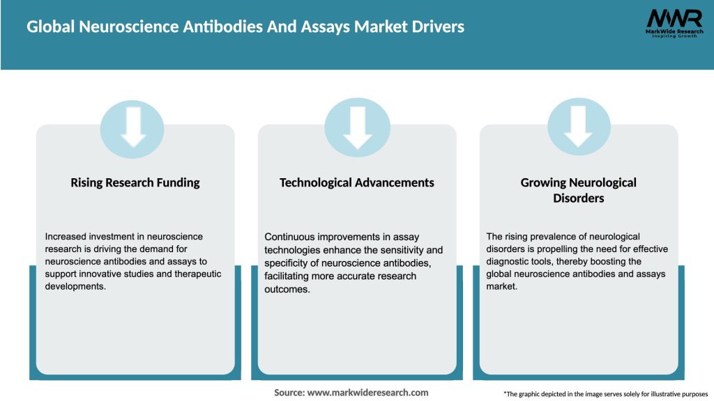 Global Neuroscience Antibodies And Assays Market Drivers