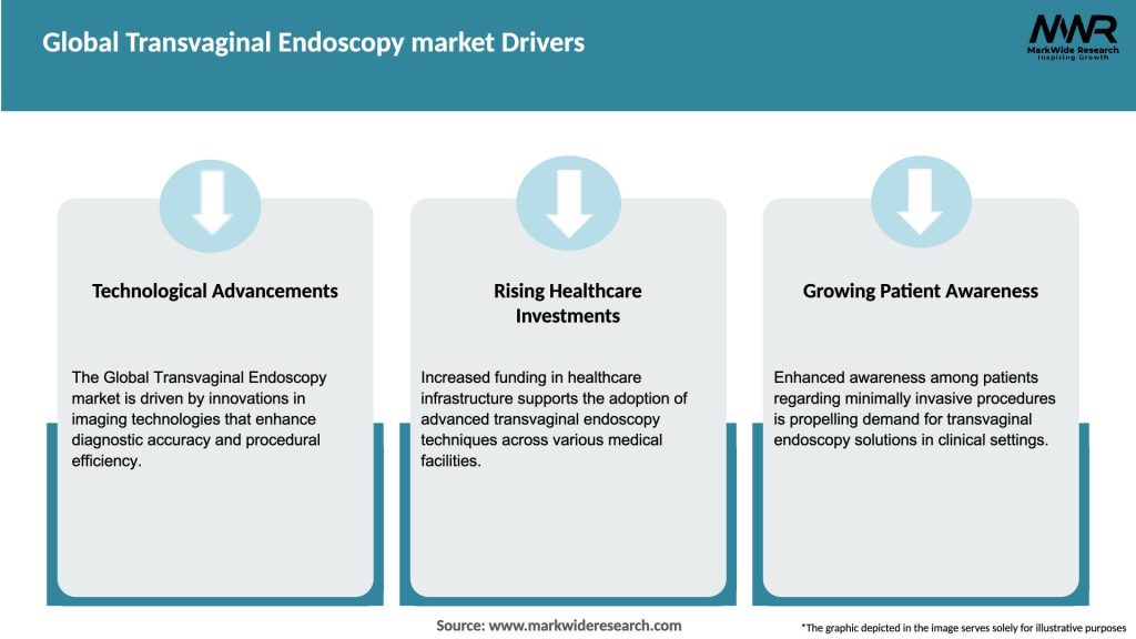 Global Transvaginal Endoscopy market Drivers