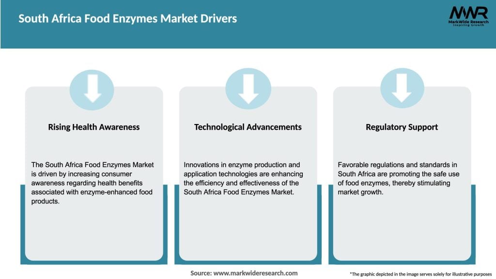 South Africa Food Enzymes Market Drivers