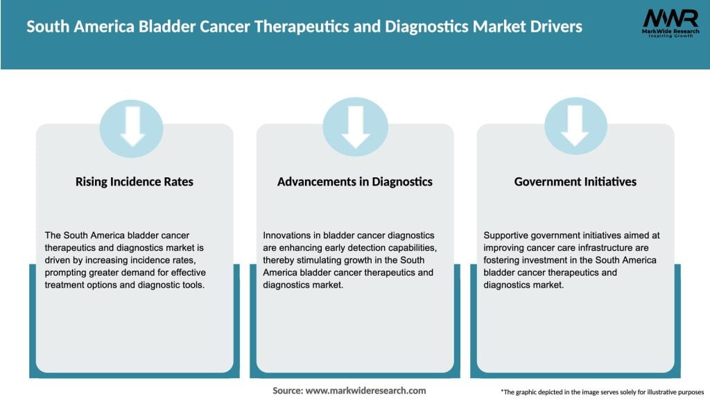 South America Bladder Cancer Therapeutics and Diagnostics Market Drivers
