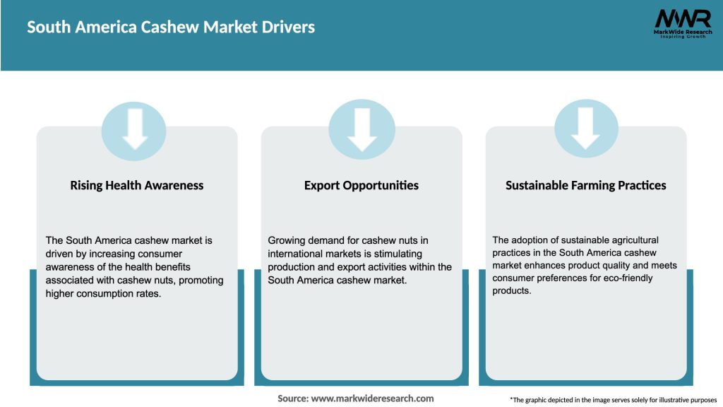 South America Cashew Market Drivers