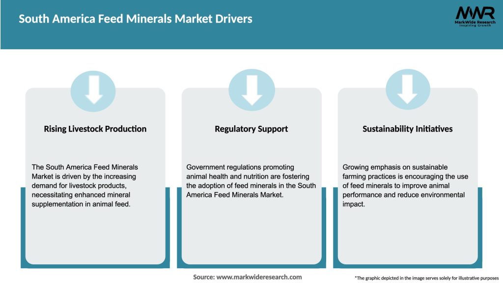 South America Feed Minerals Market Drivers