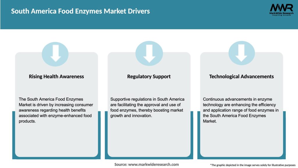 South America Food Enzymes Market Drivers