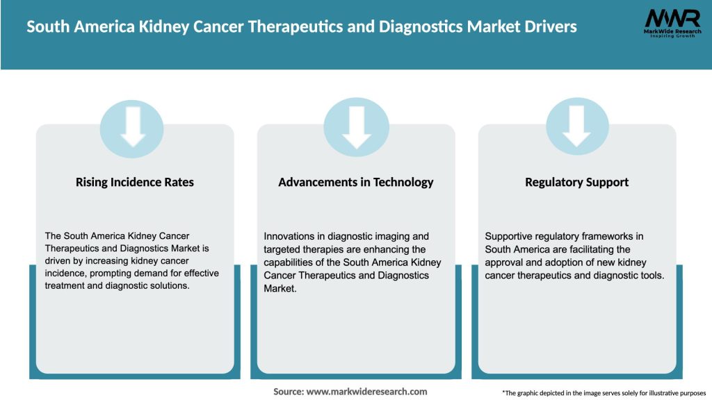 South America Kidney Cancer Therapeutics and Diagnostics Market Drivers