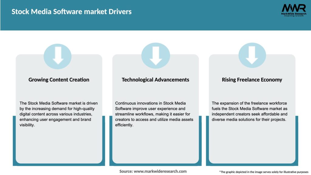 Stock Media Software market Drivers