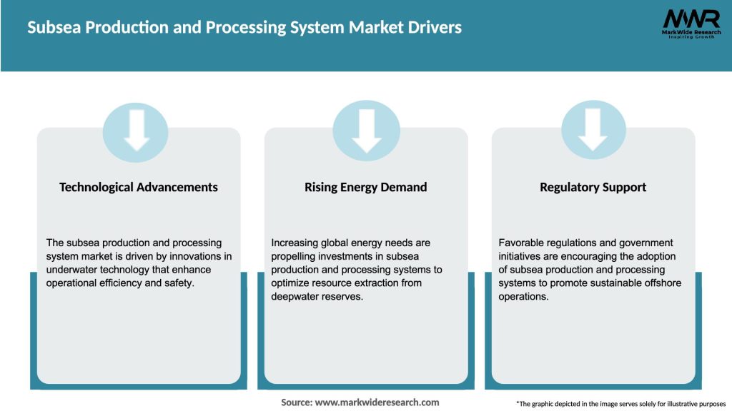 Subsea Production and Processing System Market Drivers