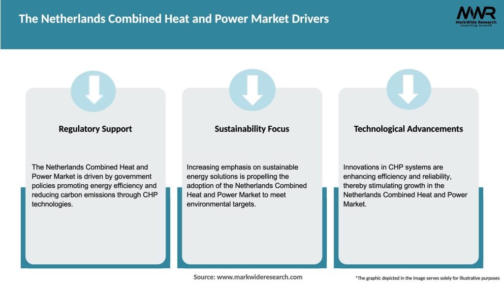 The Netherlands Combined Heat and Power Market Drivers