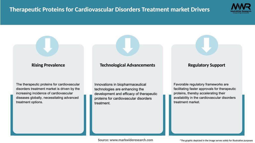 Therapeutic Proteins for Cardiovascular Disorders Treatment market Drivers