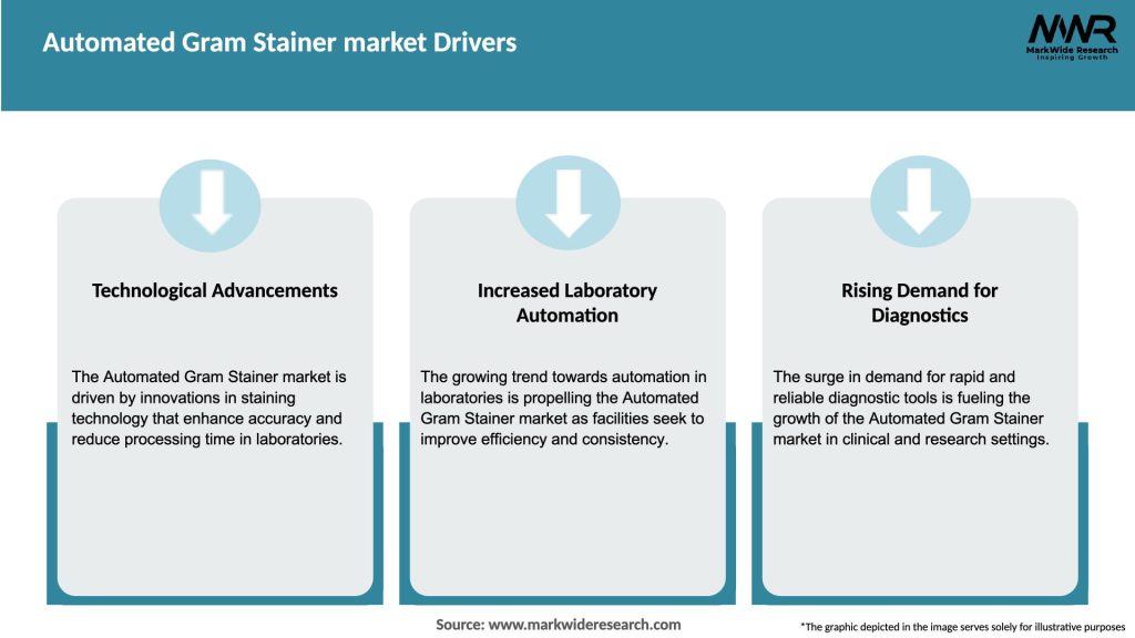 Automated Gram Stainer market Drivers