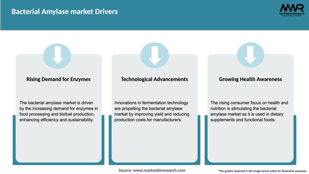 Bacterial Amylase market Drivers