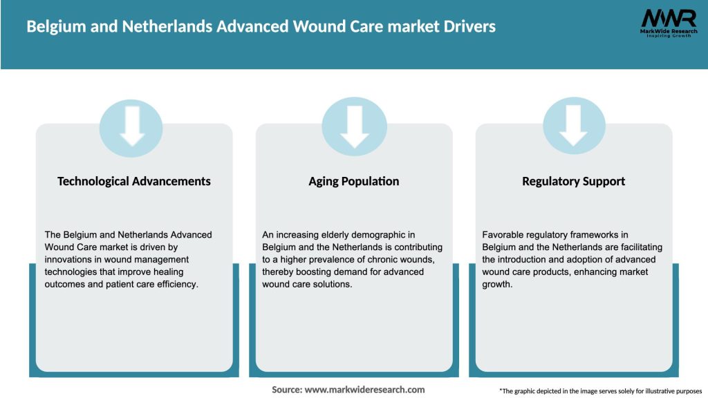 Belgium and Netherlands Advanced Wound Care market Drivers